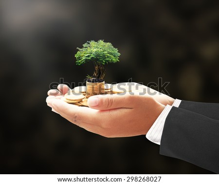 Businessman hand holding golden coins with medium plant or big tree. Development plan, Investment, Money, ROI, LIT, Insurance Agent, Service, Trust, Broker, Hope, Blessing concept.