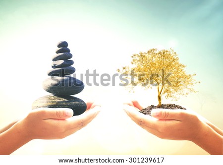 First, human hands holding balanced seven Zen stones. Second, human hands holding golden plant over blurred beautiful nature background. Ecology, Sustainability concept.