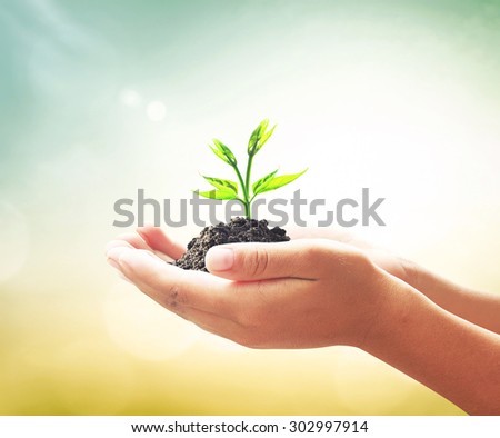Vintage style. Human hands holding young plant with soil on blurred abstract beautiful sea or ocean or forest or desert over colorful sunset background. Ecology concept. World Environment Day concept.