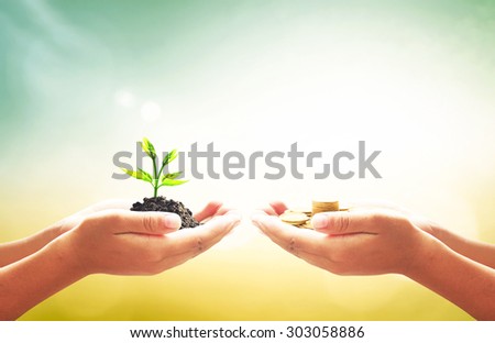 Two people hands holding small plant and golden coins over blurred beautiful nature background. Money coin concept.