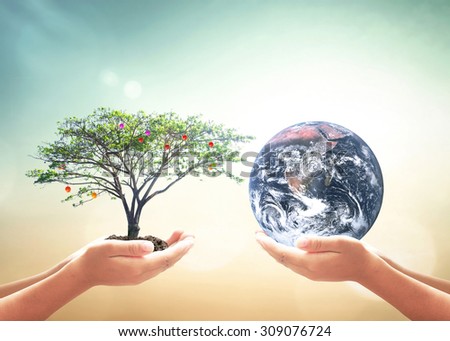 First, human hands holding fruitful medium plant or big tree. Second, human hands holding planet over blurred nature background. World Food Day concept. Elements of this image furnished by NASA.