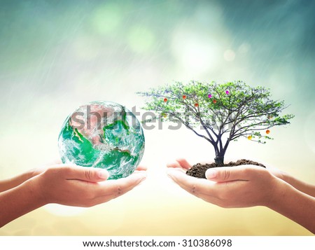 Vintage style. First, human hands holding big tree. Second, human hands holding fruitful planet on blurred sunset background. Ecology, Environment concept. Elements of this image furnished by NASA.