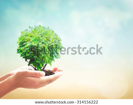 Human hands holding growing tree or plant in circle shape with soil over blurred world map of clouds background. Ecology, World Environment Day concept. World Mental Health Day concept.