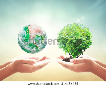 First, human hands holding planet. Second, human hands holding human hands holding medium plant or big tree over blurred nature background. Ecology concept. Elements of this image furnished by NASA.