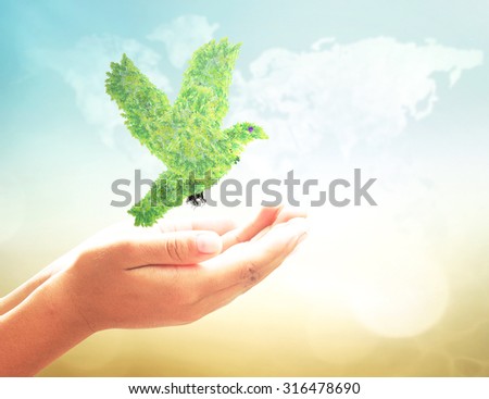 Bird shape of green tree in human hand over blurred world map of clouds background. Natural energy, Ecology, World Environment Day, Peaceful, New, Start, Beginning, Transportation, CSR concept idea.