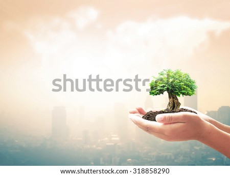 Human hand holding big plant with soil on blurred warm city sunrise over world map of clouds background. Ecology concept. World Environment Day concept. Investment concept.