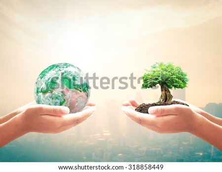 First, human hand holding green planet. Second, big plant and soil over city background with circle light. Ecology, World Environment Day, Investment concept. Elements of this image furnished by NASA.