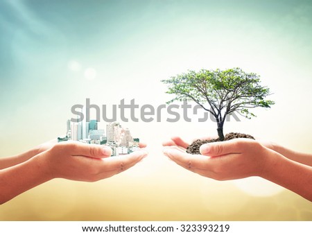 First, human hand holding city. Second, human hand holding big plant over blurred beautiful nature background. Ecological City World Environment Day Sustainable Development LIT ROI Spring CSR concept.
