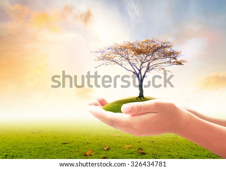 Human hand holding beautiful tree over autumn natural background. Ecology, World Environment, Tree of Knowledge concept.