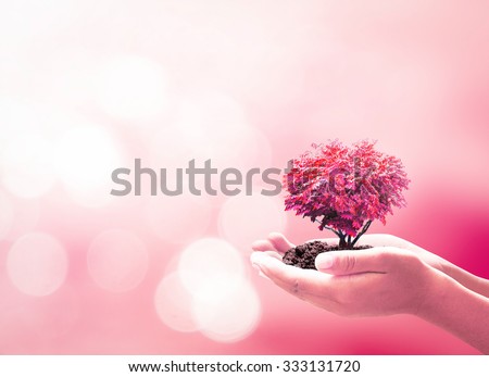 Hand Holding Grow Red Heart Tree New Year Family Organ Donation Diabetes Day Marriage Patient Gift Support Healthy Protection World Health Care Trust Arbor Charity Life Cancer Love Idea Doctor Concept