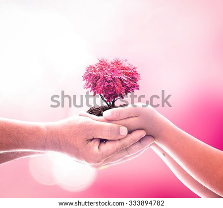 Father and son hands holding growing red big tree in shape heart with soil on blurred abstract beautiful pink bokeh colorful autumn sunset background. Valentines Day, Health Insurance concept.