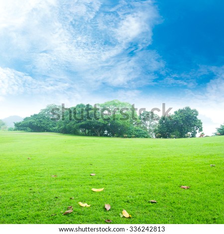 Field of grass and beautiful sky. International Mountain Day. World Environment concept.