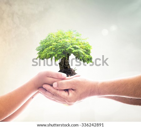 Father and son hands holding big green plant in soil on blur beautiful sea, ocean, forest, desert over colorful sunset background. Ecology, Environment, Corporate Social Responsibility (CSR) concept.