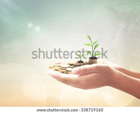 Human hand holding golden coins with young plant over blurred beautiful city sunset background. Seedling in coins Money LIT Investment Saving Banking Insurance Agent Fund ROI CSR Finance Time concept