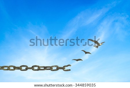 Old rusty steel chain transform into fly bird. Freedom Abstract Courage Slavery Journey Magic Person Sin Trust Earth Day Health Care World Eco CSR Sell Healing Religion Help Advocacy Emotion concept.