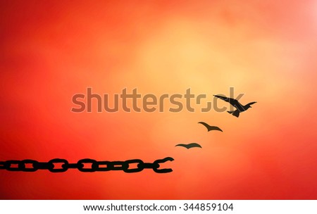 Old rusty steel chain transform into flying birds over red sky sunset background. International Day for the Abolition of Slavery, Freedom, Sin, Forgiveness, God, Repentance, Helper, Redeemer concept.