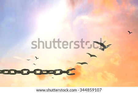 Freedom concept. CSR Sin Jail Drug Law Key Free Wire Sky Rusty God Life Earth Person Brave Moral Press Trust Faith Slave Mercy Liberty Forgive Ambition Refugee Victory Business Amnesty Magic Unlock
