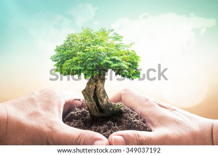 Heart of hand holding big plant with soil on blur abstract beautiful world map of clouds over colorful sunset background. Ecology, World Environment Day, Investment, Charity, Human Right Day concept