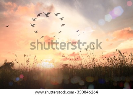 Silhouette many birds flying in shape of heart. Christmas Card Happy New Year 2016 Background Environment Ecology CSR Sync Hope Love Health Care Team Unity Community Volunteer Faith One Family concept