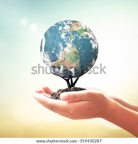 Human hands holding tree of planet over blurred beautiful sunset background. Ecology, World Environment Day, Investment, CSR, Health Care, Healthcare concept. Elements of this image furnished by NASA