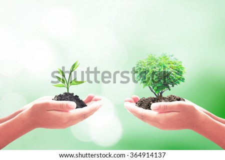 Two human hand holding small plant and green tree. Ecology World Environment Day Alternative Learning CSR Go Green Spring Time Swap Team Sell Trust Vend Deal Idea Food Farm Deal Soil Barter concept