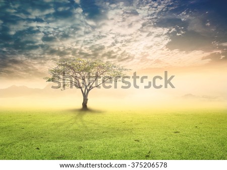 Big tree on the green spring meadow in mountain. Tree of Knowledge New Life Education Religion God Eden Adam Eve Heaven Word Holy Bible Love World Environment Day Card Spring Time Eco Nature concept.