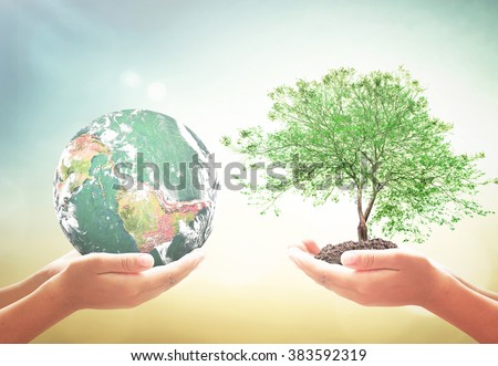 Two human hand holding planet and big tree. Ecology CSR Executive Business Generosity Investment Kindness Love Clean Recycle Arbor Spring Time concept. Elements of this image furnished by NASA.