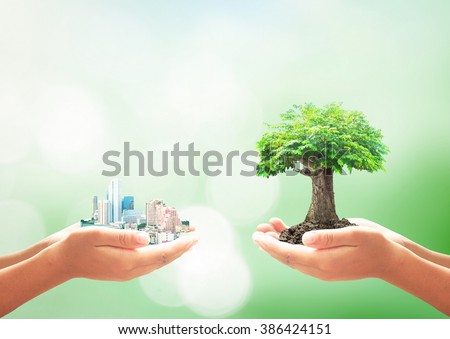 Sustainable concept. Plan Change Human CSR ROI  Building Eco Bio Soil Over Blur Sky Creation First Life Trust Saving Banking Debt Fund Ecology Year Week Idea Map Nature Month Energy Renewable Funding