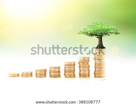 Stacks of golden coins with big tree. Fund Nature Metaphor ROI Saving Raising Plan Idea Market Seed Bank CSR Trust Wealth Debt Hope Dollar Support Charity Treasure Cash Grow Deposit Bonus Risk Gains