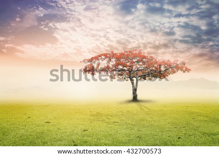 Big tree on meadow. Vintage Art Rural Grass Scenic Time Orange Yellow Eco Sun Plant Dawn Travel View Cloud Dawn Village Peace Calm Card Banner Bright Sunlight Red Heaven Paradise Earthly Life Valley.