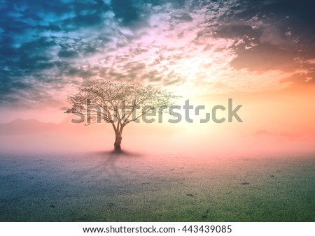Big tree on meadow. Vintage Art Rural Grass Scenic Time Orange Yellow Eco Sun Plant Dawn Travel View Cloud Village Peace Calm Card Banner Bright Sunlight Blue Heaven Paradise Earthly Life Valley.