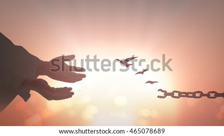 Liberty concept: Silhouette human open two empty hands with palms up and birds flying to broken chains over sunset background.