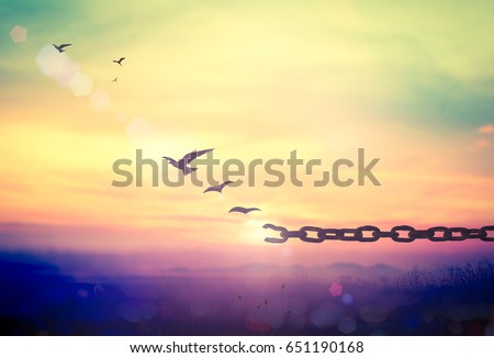 Freedom concept: Silhouette of bird flying and broken chains at mountain sunset background.