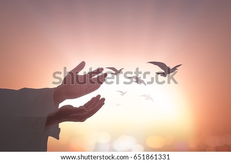Corporate social responsibility (CSR) concept: Silhouette islam man open two empty hands with palms up and birds flying over sunset background.