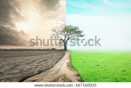 World changed concept: Half drought and half abundance tree standing landscape background.