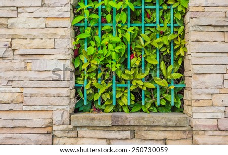 image of Old iron fence with green leaves background .