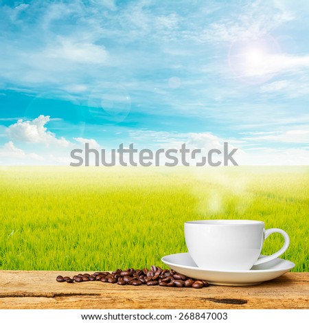image of coffee cup and  rice field with clear blue sky for background usage .