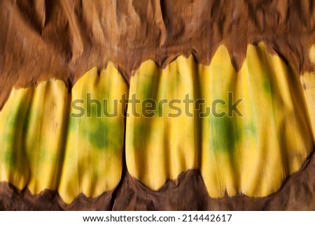 colorful of banana leaf dry for background