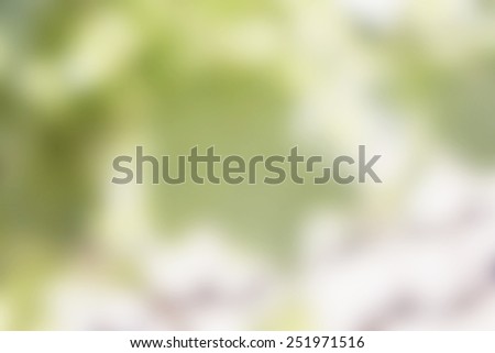 Blurred Grape Leaf Background