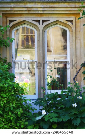 Gothic window overgrown with ivy and roses in the background. Shot at University of Oxford, UK.