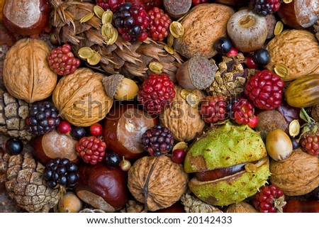 autumn fruits