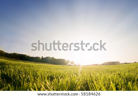 Sun rising behind a green field, perfect as setting or backdrop