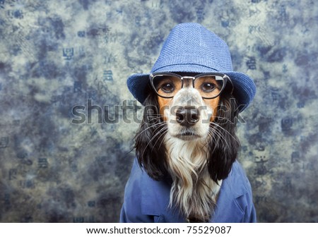 Business/detective/mob/dog in a suit with hat