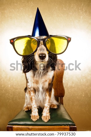 Dog with oversized party-glasses and hat is ready to start a party
