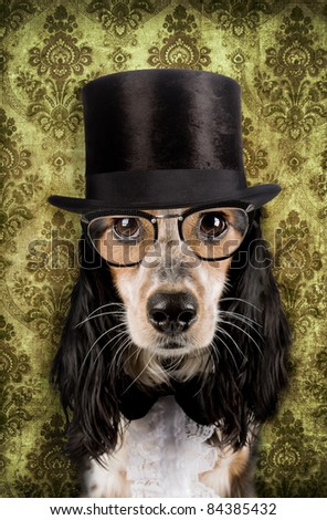 Retro dog with stove pipe hat and glasses