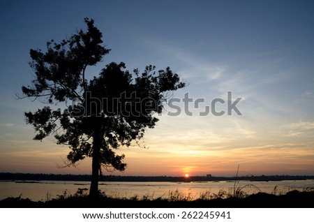 silhouette tree back sunrise