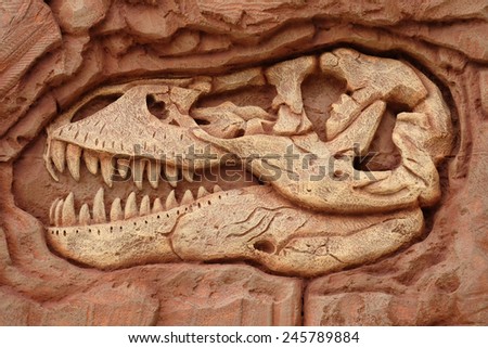 artificial dinosaur head fossils