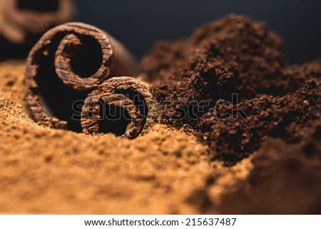cinnamon powder with sticks and coffee powder. macro,selective focus