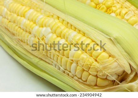 fresh yellow corn, sweet corn