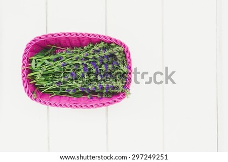 Fresh hyssop (Hyssopus officinalis) in plastic basket, top view